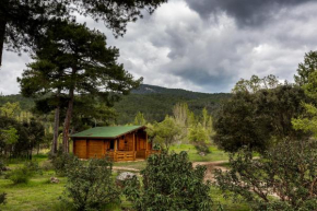 El Llano de los Conejos Serranía de Cuenca